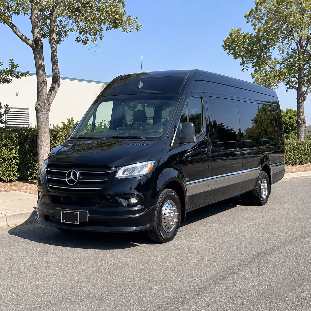 find the perfect transportation for your next birthday 5
