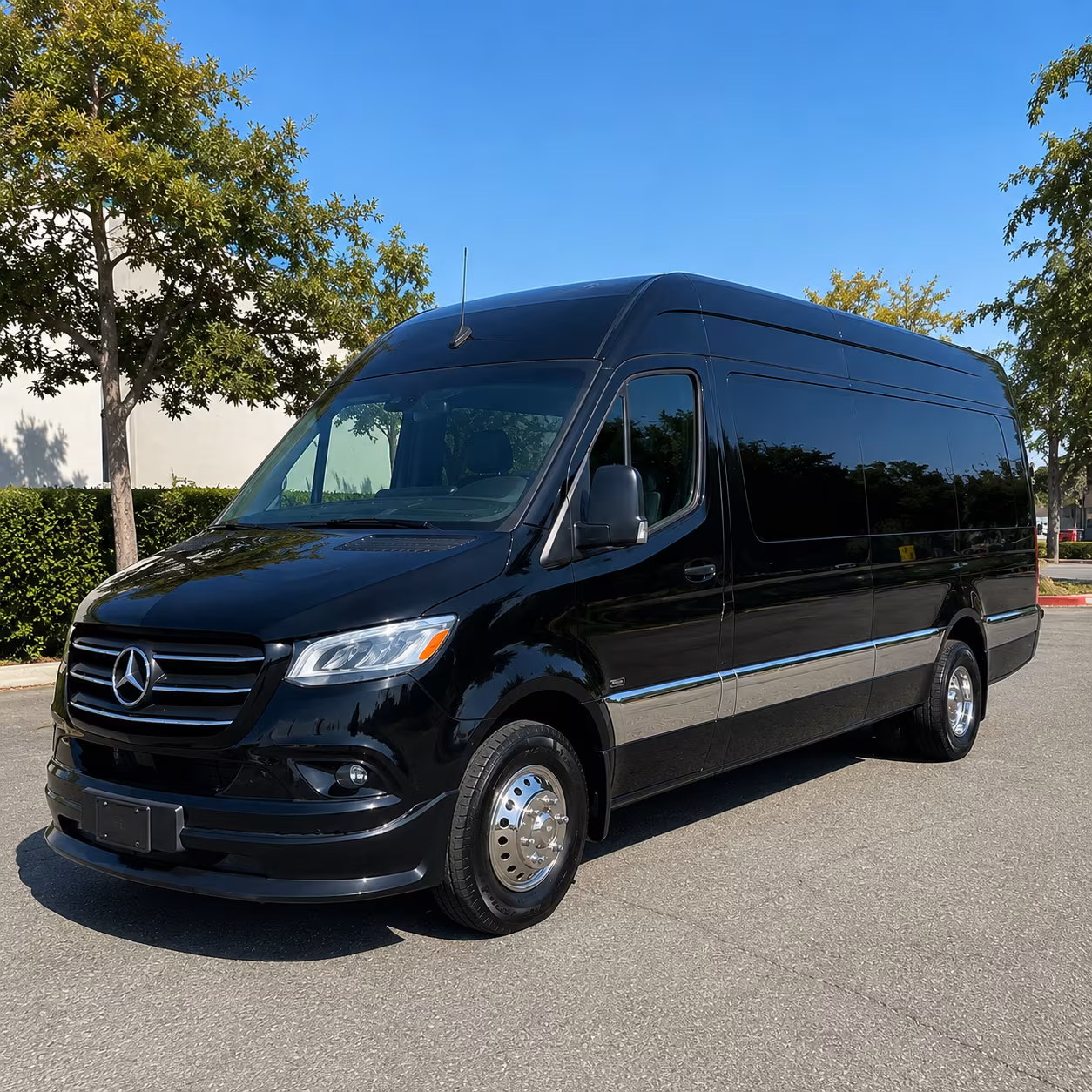 riverside 8 passenger sprinter van